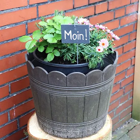 Seewiefke Apartmán Holtgast