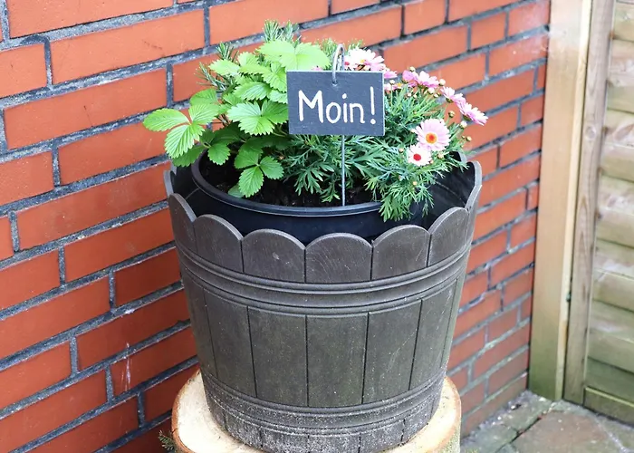 Seewiefke Apartman Holtgast